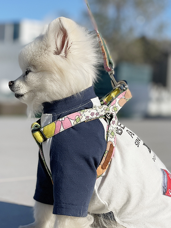 GODPIVA レーシーフラワーボアハーネス レーシーフラワーボアハーネス - GODPIVA（ゴッドピバ）： 犬の