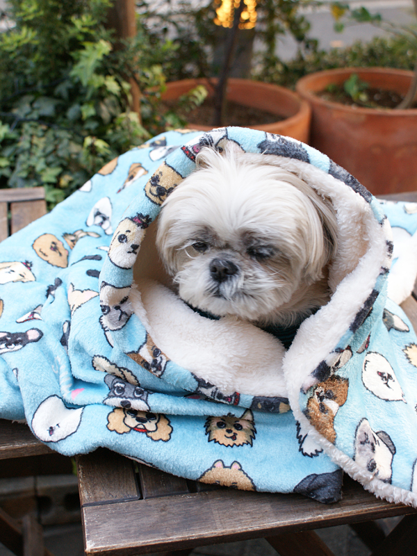 D・O・G WEBSTORE-犬服SHOP-SHIH -DOGブランケット-