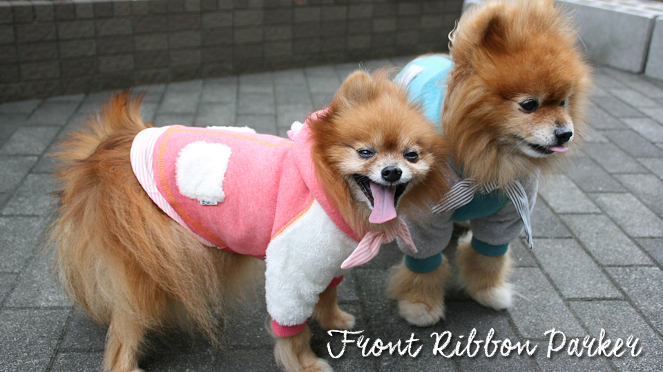 d o g webstore 犬服shop