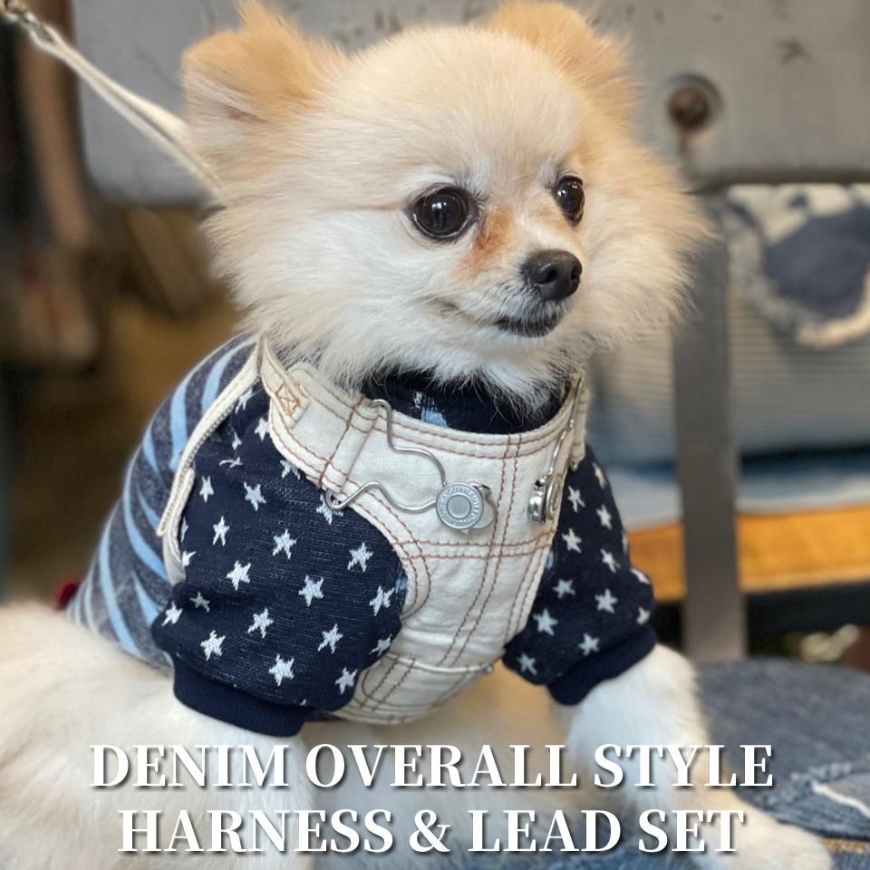 D・O・G WEBSTORE-犬服SHOP-