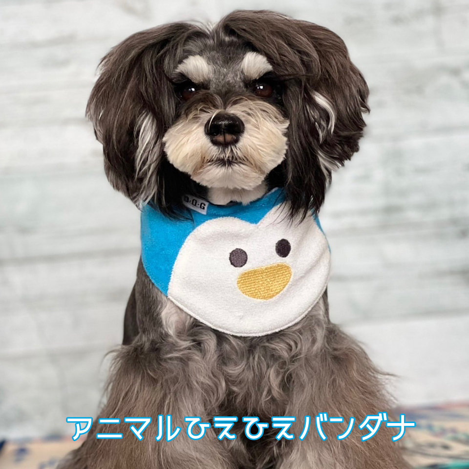 D O G Webstore 犬服shop